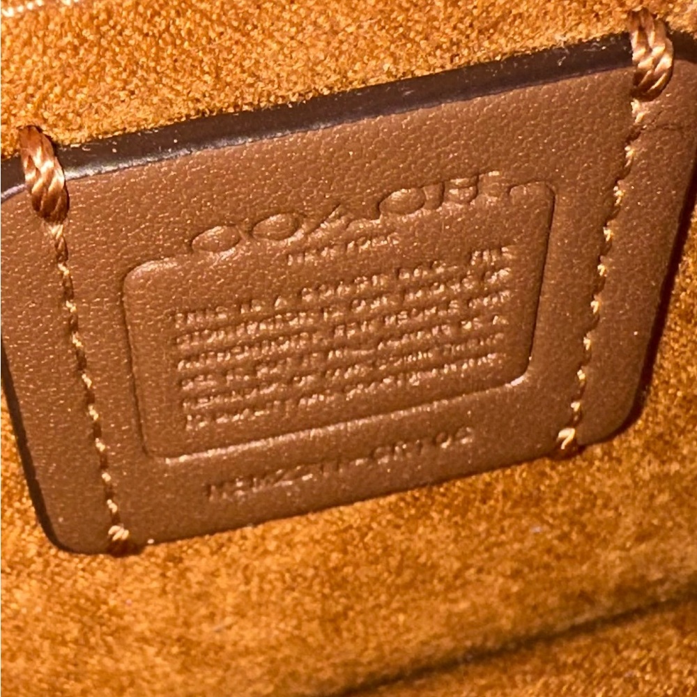 Coach Eliza Pale Green Lizard Embossed Shoulder and Crossbody CR106 SV/AG MINT! - Picture 11 of 15